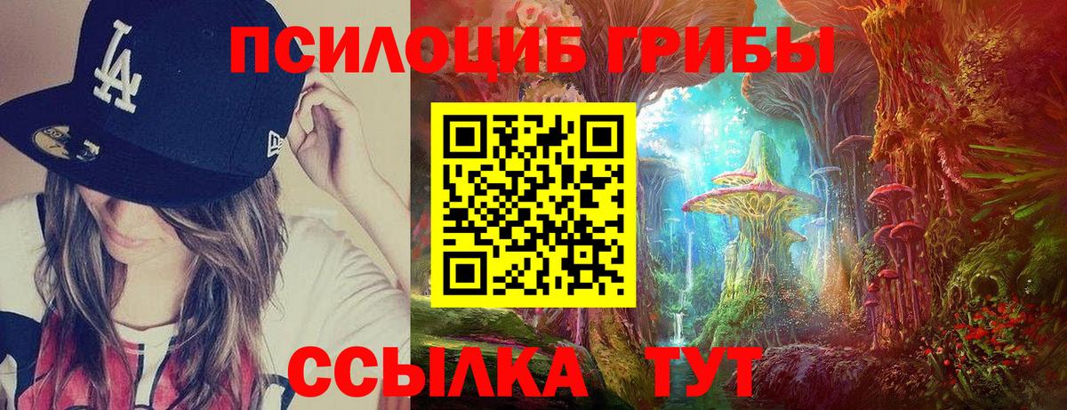 Новосибирск  Псилоцибиновые грибы GOLDEN TEACHER  Вход с VPN 
