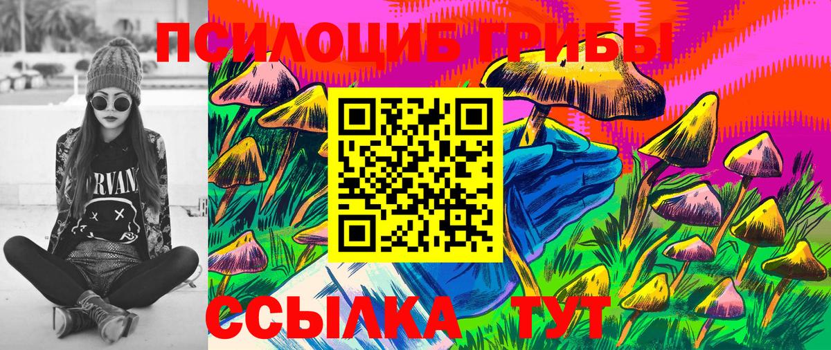 Галлюциногенные грибы мицелий Новосибирск